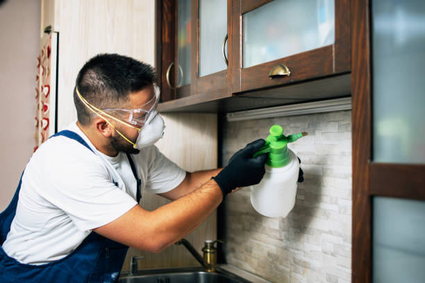 Best Exterminator Services  in Pacifi, CA