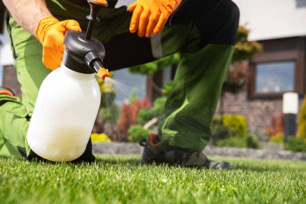 Best Bed Bug Extermination  in Pacifi, CA