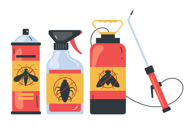 Best Termite Control Services  in Pacifi, CA