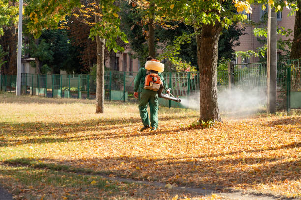 Best Pest Control Near Me  in Pacifi, CA